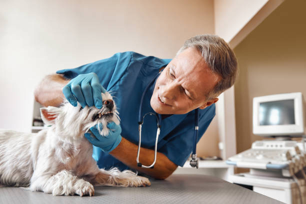 Best Emergency Wisdom Teeth Removal in Crimora, VA