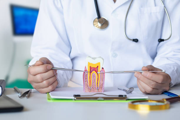 Best Emergency Root Canal Treatment in Crimora, VA